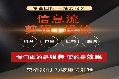 百度SEO推广：从零到一的成长案例
